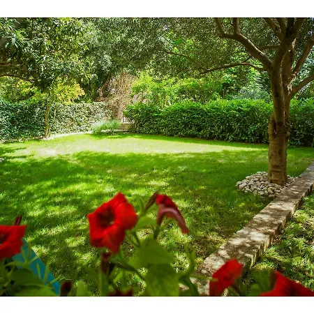 Spaladium - Center Split