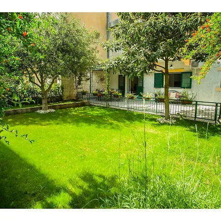 Spaladium - Center *